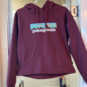 Patagonia Maroon Hoodie with Logo